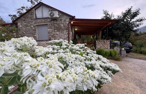 Albania Casa | Stone House