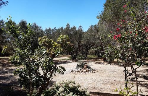 Galatas Casa | Stone house among trees