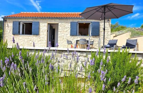 Kneza Casa | Stone house in vineyard