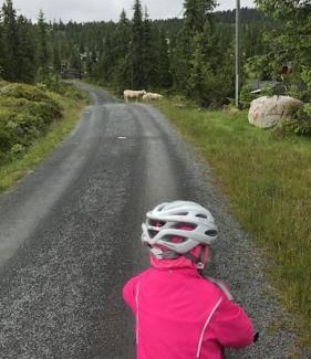 Sjusjoen Casa | Stor familiehytte på Småsætra, Sjusjøen