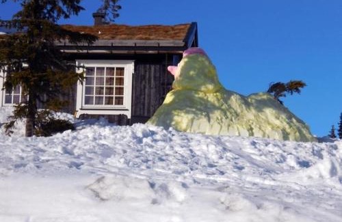 Sjusjoen Casa | Stor familiehytte på Småsætra, Sjusjøen