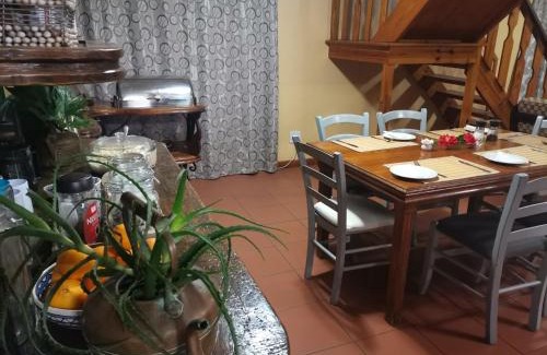 Storms River Casa | Storms River Forest Lodge