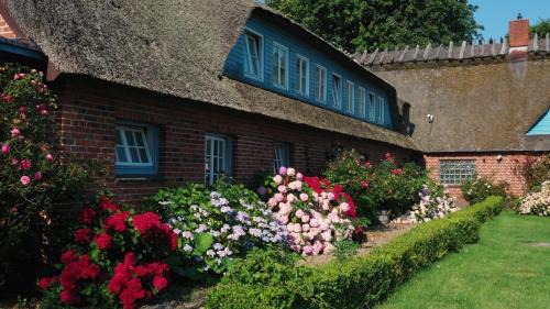 Falshoft Apartamento | Strandhaus Falshöft 2