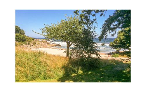 Sandkaas Casa | Strandhytten