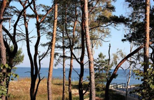 Ahlbeck Apartamento | Strandresidenz Else Marie App 1 3