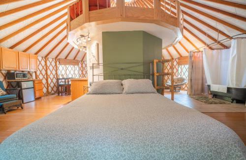 Big Bar Complejo | Strawhouse Resorts