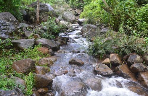 Kottappadi part Casa | Stream Garden Mountain Resort