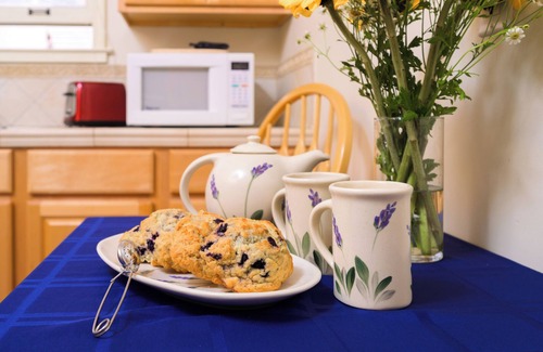 Marina District Hotel | Street-Facing Dog-Friendly Queen Room with Kitchen, Free Parking & Wi-Fi