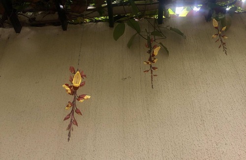 Padre Eustaquio Apartamento | Studio Aconchegante e bem Localizado no Coração Eucarístico