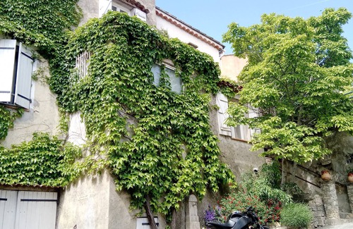 Sainte-Anastasie-sur-Issole Apartamento | Studio Magnolia Provence Alpes Côte d'Azur