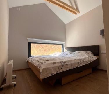 Central Serbia Apartamento | Studen Jaz