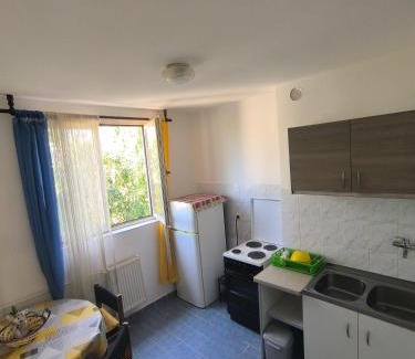Kragujevac Apartamento | Student den