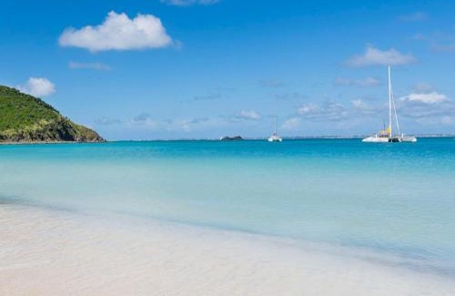 Anse Marcel Apartamento | Studio à Anse Marcel avec Parking et Air Conditionné - FR-1-734-53