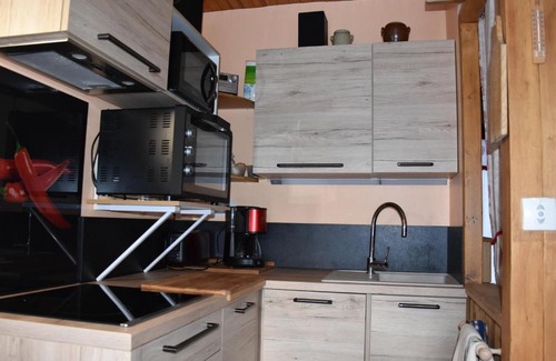 Pralognan-la-Vanoise Apartamento | Studio équipé, 400m des commerces, terrasse sud, accepte animaux. - FR-1-464-175