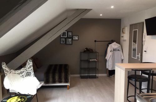 Belfort Apartamento | Studio, étage 3, spacieux refait à neuf