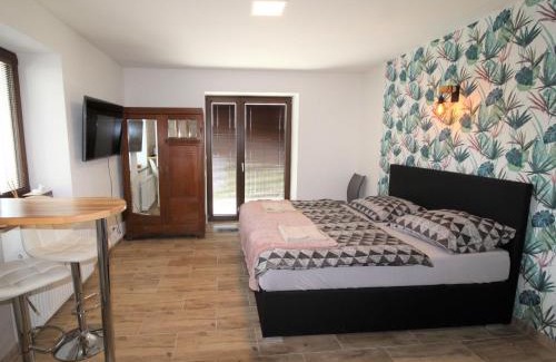 Zupanovice Apartamento | Studio Županovice-1 by Interhome