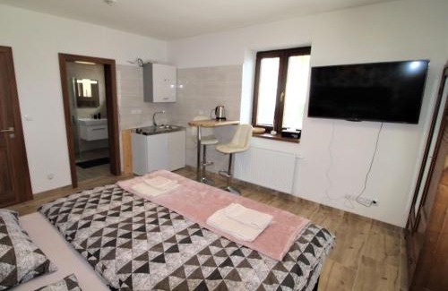 Zupanovice Apartamento | Studio Županovice-1 by Interhome