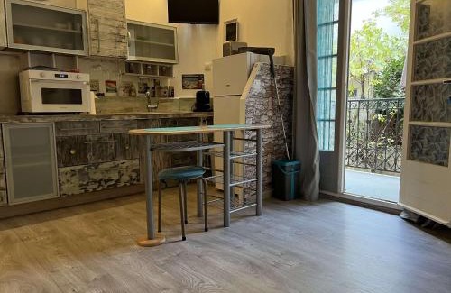 Amelie-les-Bains-Palalda Apartamento | Studio 20m² avec balcon, jardinet, et WiFi au centre d'Amélie-Les-Bains - FR-1-659-80