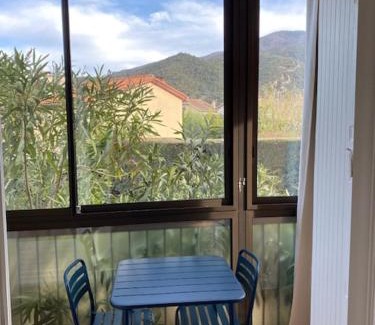 Amelie-les-Bains-Palalda Apartamento | Studio 33 m2 , climatisé, parking extérieur privé gratuit