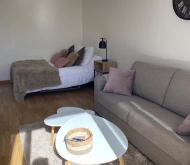 Amelie-les-Bains-Palalda Apartamento | Studio 33 m2 , climatisé, parking extérieur privé gratuit