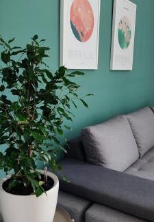 Donje Polje Apartamento | Studio 357 Cetinje
