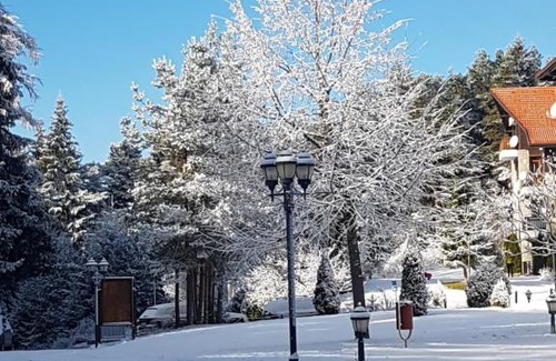 Samokov Apartamento | studio 38 borovets hills