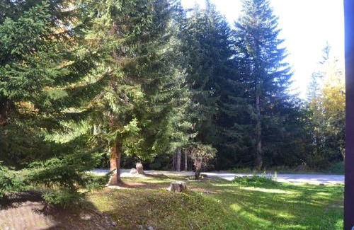 Arc-1800 Apartamento | Studio 4 pers, proche pistes et commerces, balcon S-O, cœur village Charvet, animaux admis, wifi - FR-1-411-503