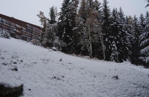 Arc-1800 Apartamento | Studio 4 pers, proche pistes et commerces, balcon S-O, cœur village Charvet, animaux admis, wifi - FR-1-411-503