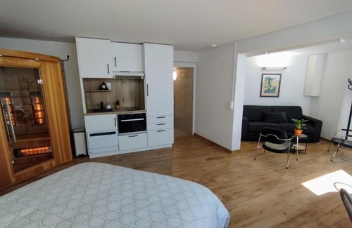 Mittelhausbergen Apartamento | Studio 40 m2 avec sauna proche de Strasbourg