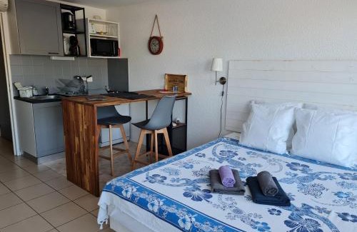 Le Grau-Du-Roi Apartamento | Studio 43 climatisé terrasse vue mer