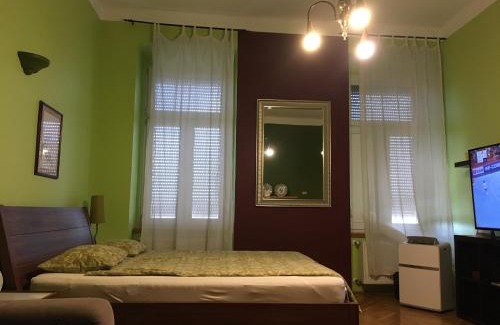 Belso-Ferencvaros Apartamento | Studio along the Danube