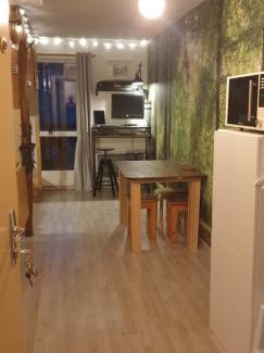 Les Deux Alpes Apartamento | Studio Alpheratz Forest - 1 à 3 pers - WIFI, balcon, vue piste et glacier Muzelle, calme, proche commerces et pistes- TSC Super Venosc à 80m