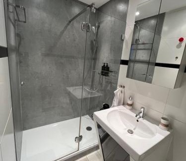 Radeberger Vorstadt Apartamento | Studio am Waldschlösschen mit Küche und Netflix
