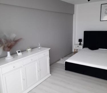Fagaras Apartamento | Studio ANA