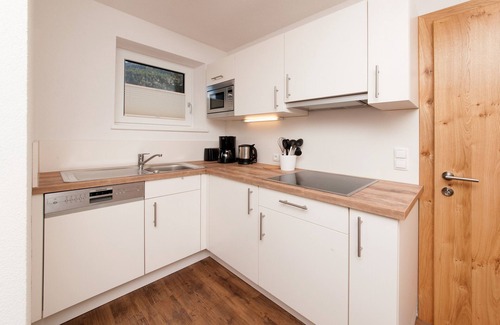 Pettneu am Arlberg Apartamento | Apartamento estudio 'Top 3 Eisenspitze' con vistas a la montaña, jardín privado y Wi-Fi
