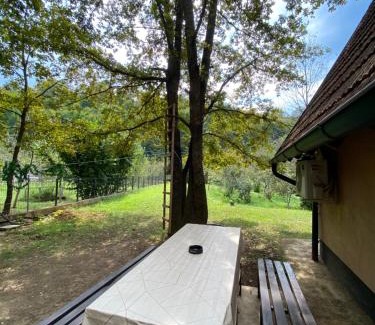Bihac Apartamento | Studio apartman Farah
