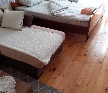 Bajina Basta Apartamento | Studio apartman jelena