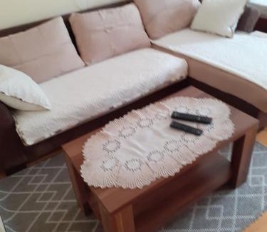 Bajina Basta Apartamento | Studio apartman jelena
