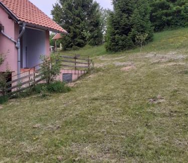 Bajina Basta Apartamento | Studio apartman jelena