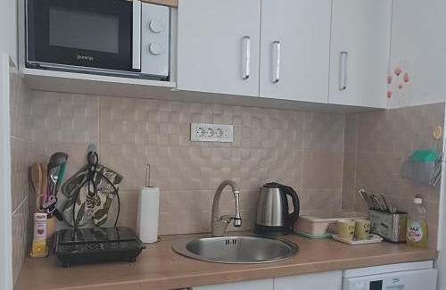 Pluzine Apartamento | Studio apartman "Kutak DIVUS"