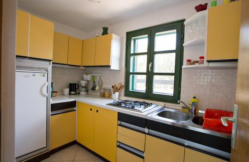Molat Apartamento | Studio apartman - MELLITUS