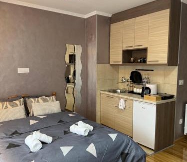 Uzice Apartamento | Studio apartman S