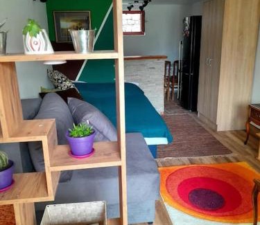 Ivanjica Apartamento | Studio Apartman Skyline