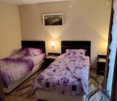 Gornja Trepca Apartamento | Studio apartmani Čanović