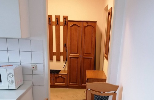 Baerenstein Apartamento | Apartamento estudio "Am Bärenstein im Oberen Erzgebirge" con vistas a la montaña y Wi-Fi