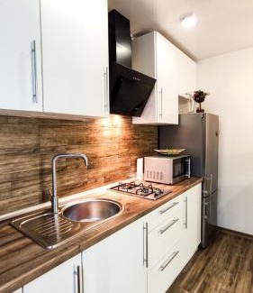 Kremenchuk Apartamento | Studio Apartment Center