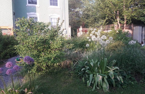 Seneca Falls Casa | Studio apartment in historic home with garden and water views walk to town