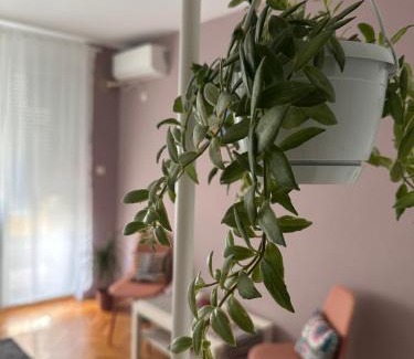 Grbavica Apartamento | Studio Apartment Laganini