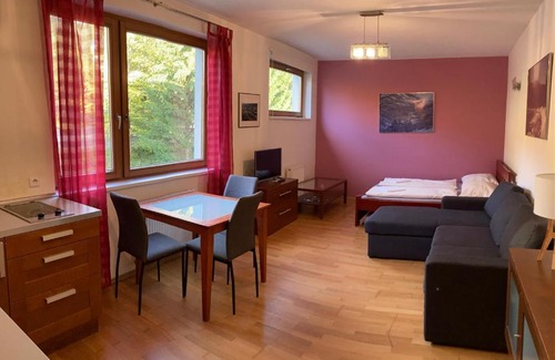 Spindleruv Mlyn Apartamento | Studio Apartment Michael