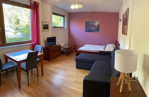 Spindleruv Mlyn Apartamento | Studio Apartment Michael